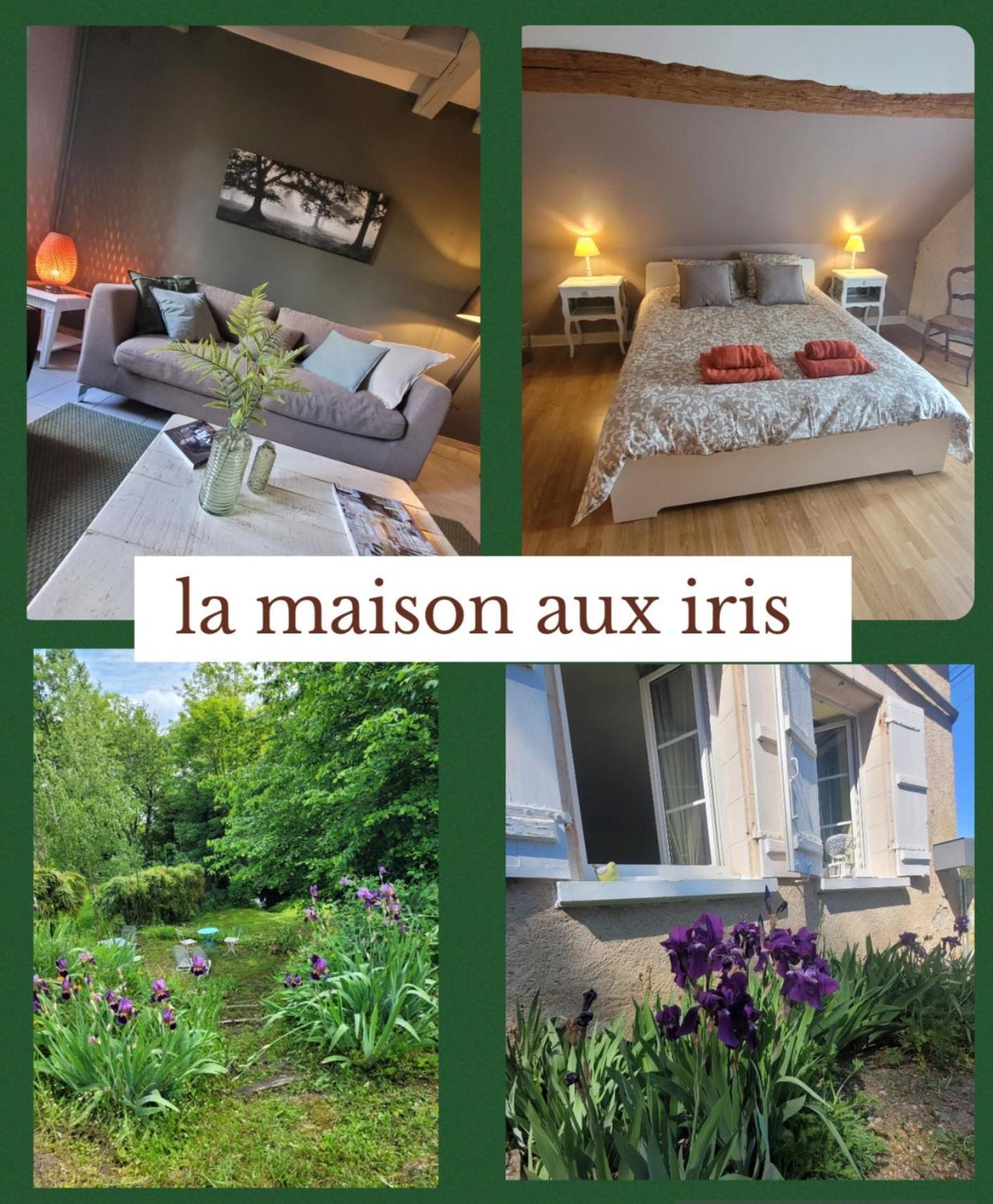 La Maison Aux Iris Pocé-sur-Cisse Zewnętrze zdjęcie