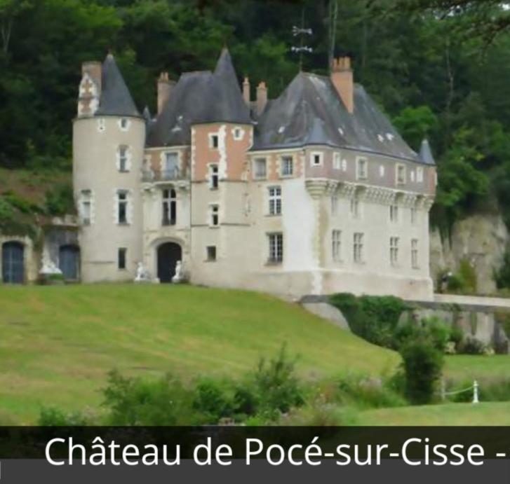 La Maison Aux Iris Pocé-sur-Cisse Zewnętrze zdjęcie