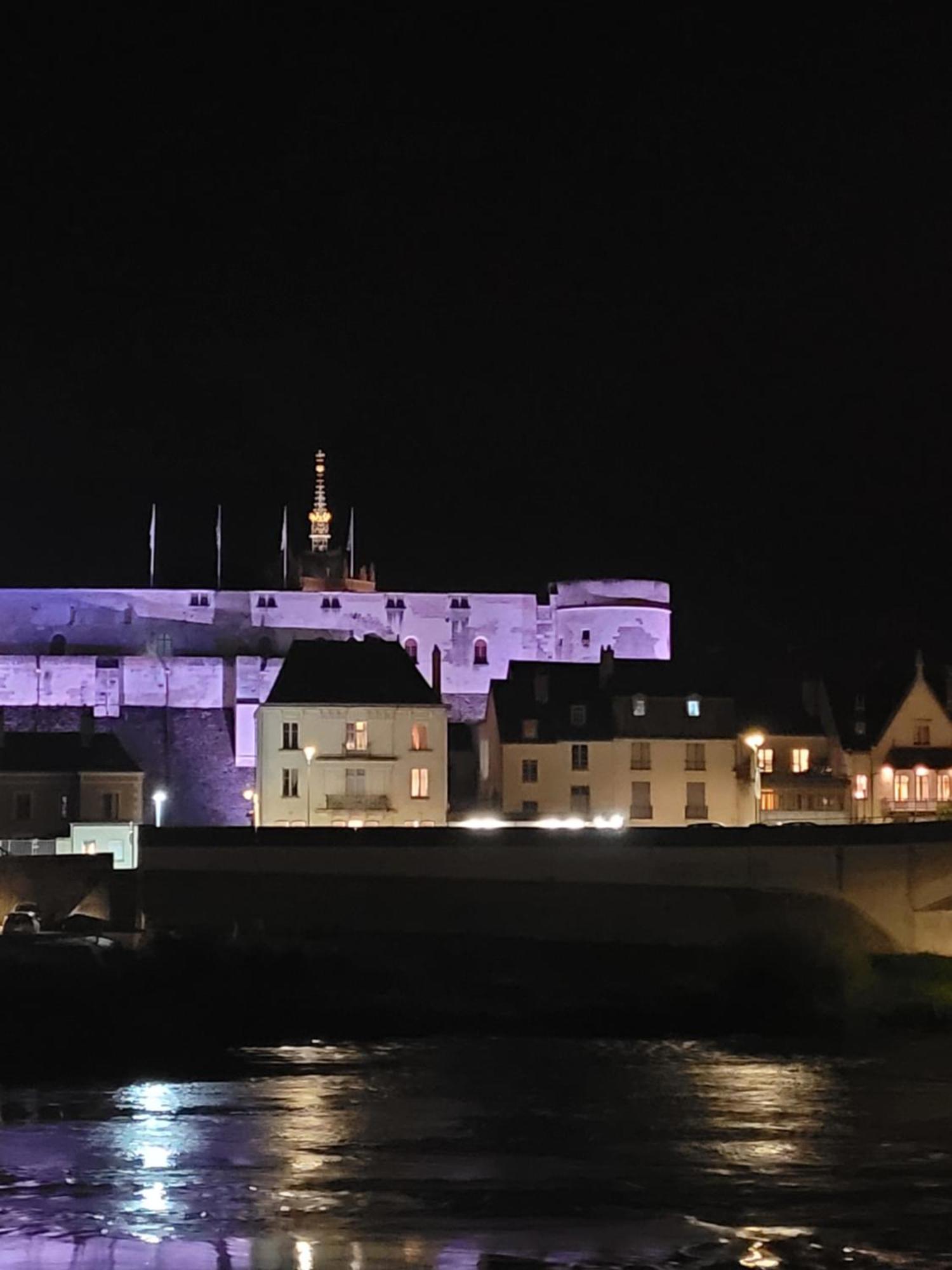La Maison Aux Iris Pocé-sur-Cisse Zewnętrze zdjęcie