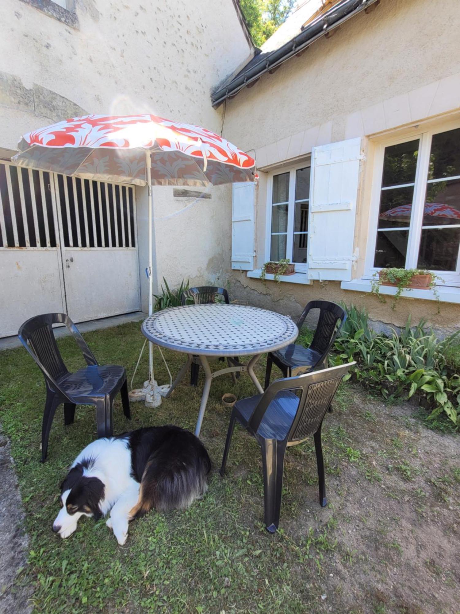La Maison Aux Iris Pocé-sur-Cisse Zewnętrze zdjęcie