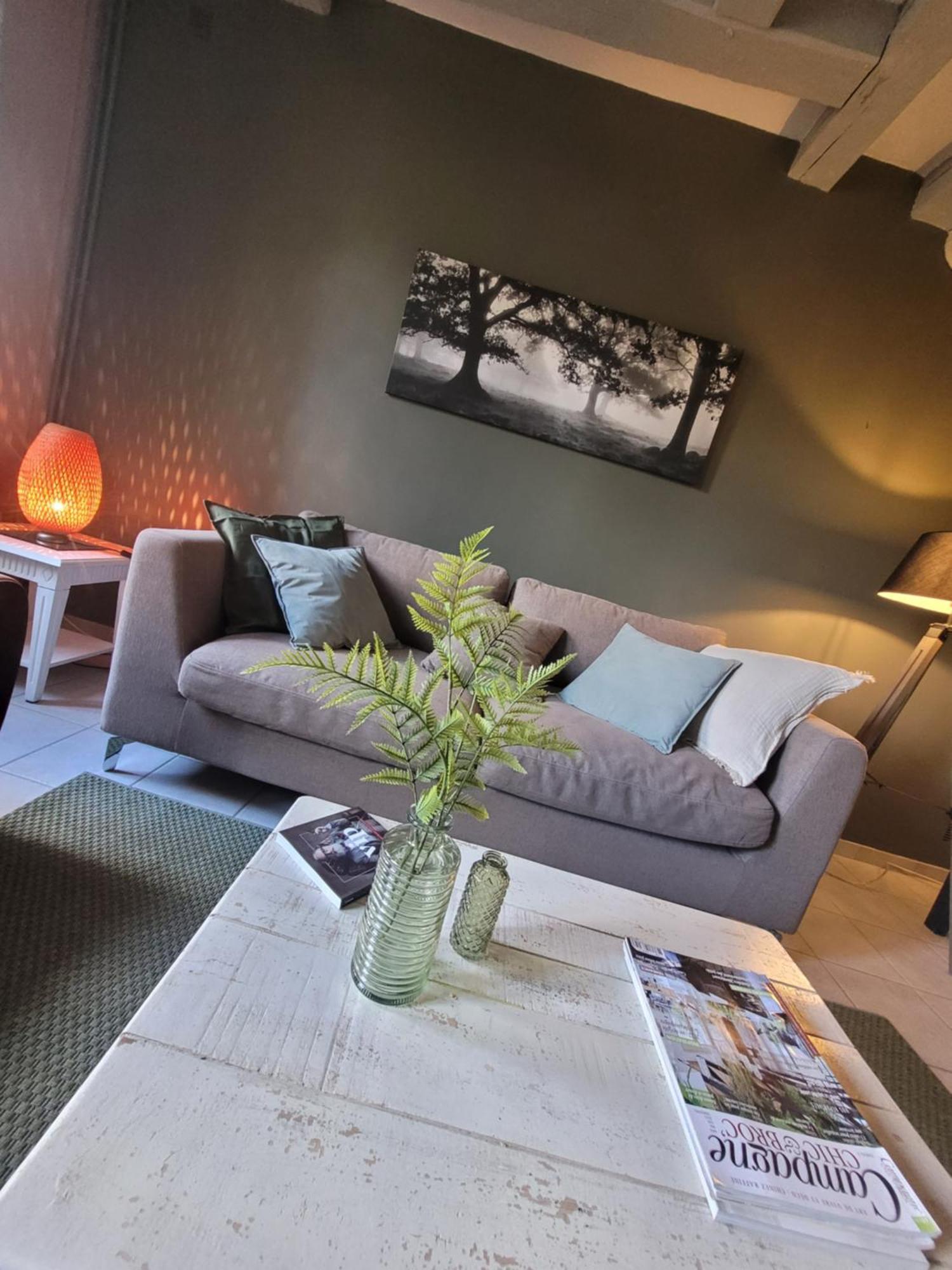 La Maison Aux Iris Pocé-sur-Cisse Zewnętrze zdjęcie